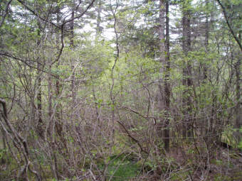 community photo